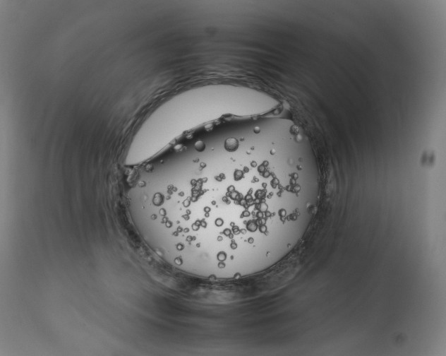 X0000112750559200909171229