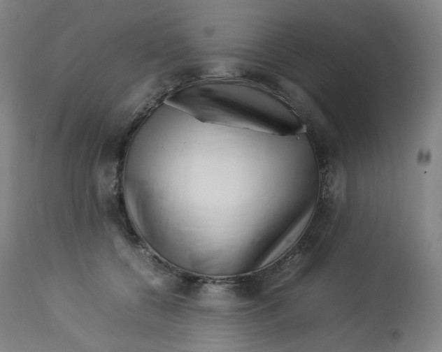 X0000112750560200909171229