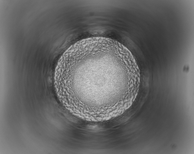 X0000112750561200909171229