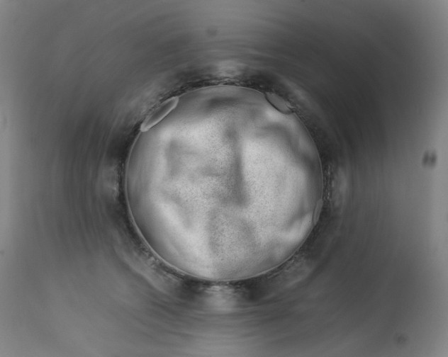 X0000112750562200909171229