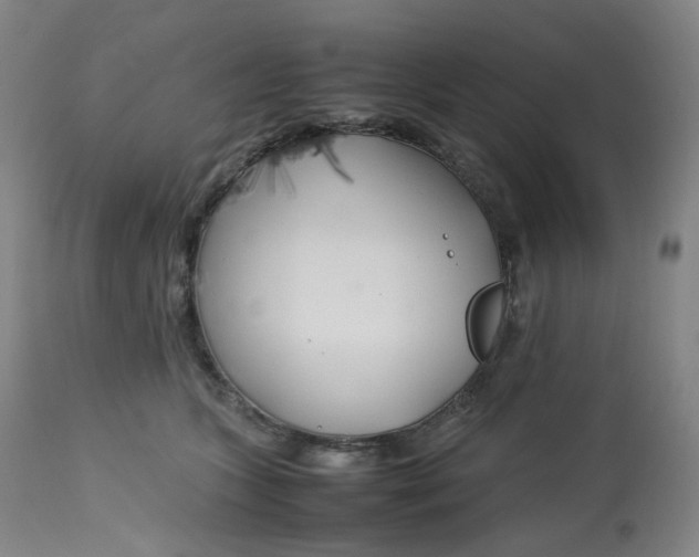 X0000112750563200909171229