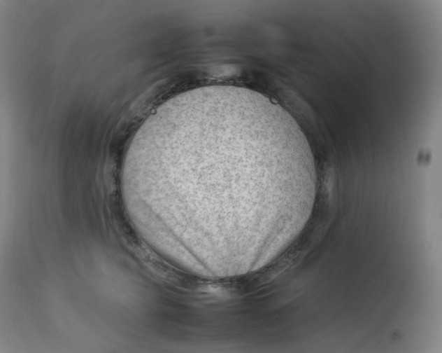 X0000112750565200909171229