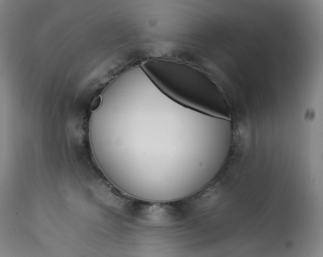 X0000112750566200909171229