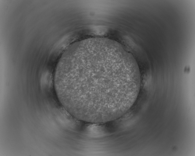 X0000112750568200909171229