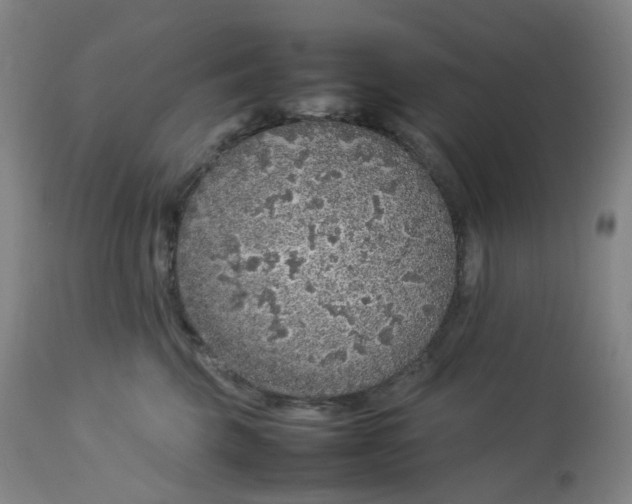 X0000112750569200909171229