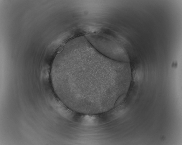 X0000112750570200909171229