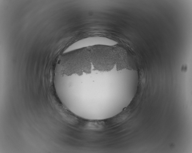 X0000112750571200909171229