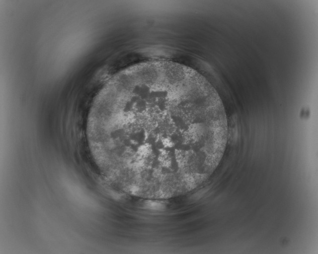 X0000112750573200909171229