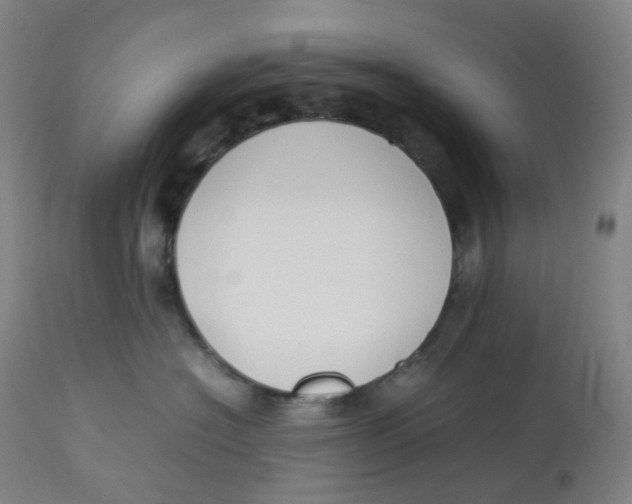 X0000112750574200909171229