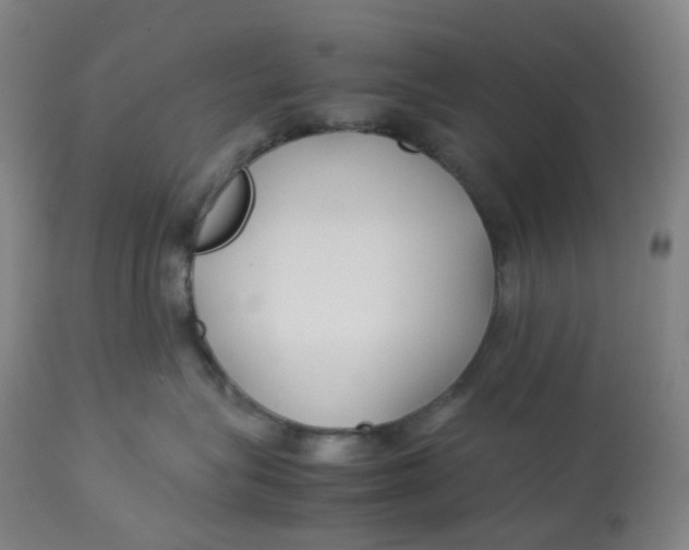 X0000112750575200909171229