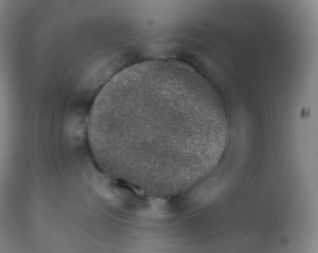 X0000112750576200909171229