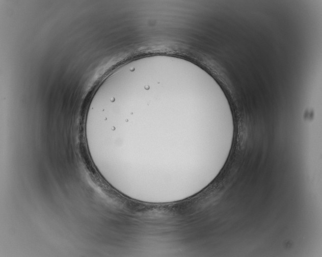 X0000112750578200909171228