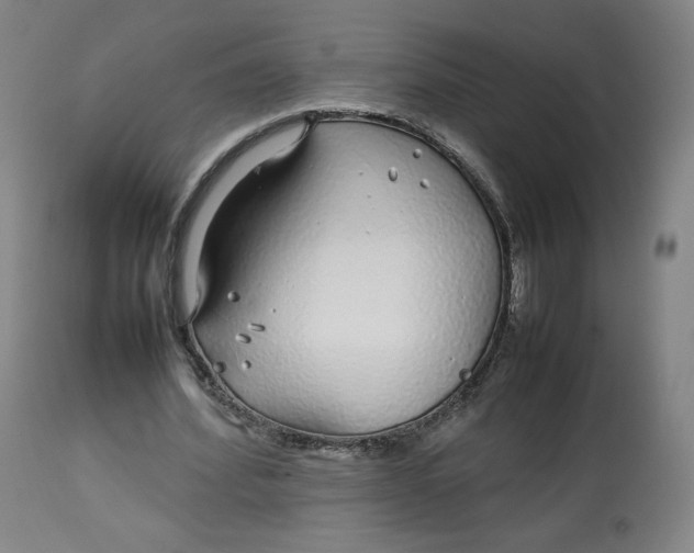 X0000112750580200909171228