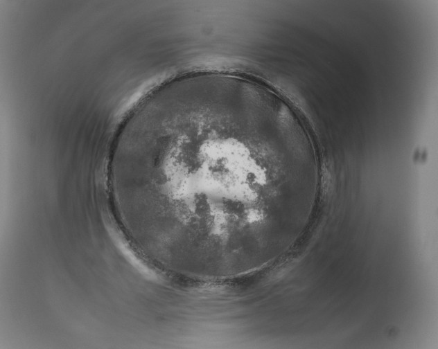 X0000112750581200909171228