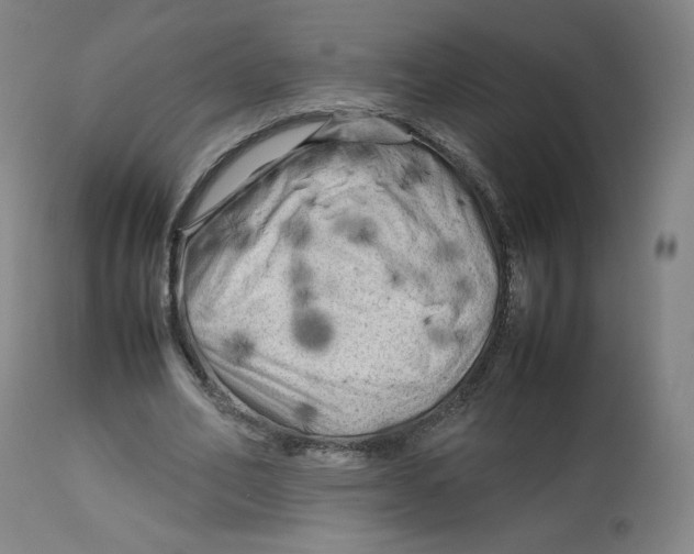 X0000112750582200909171228