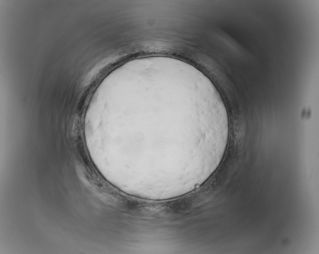 X0000112750583200909171228