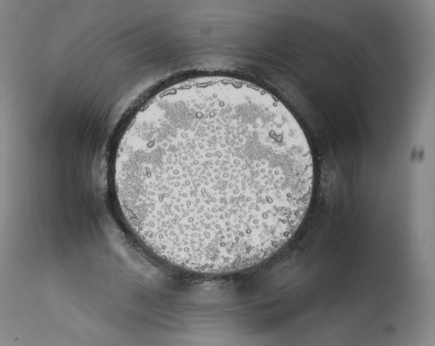 X0000112750584200909171228