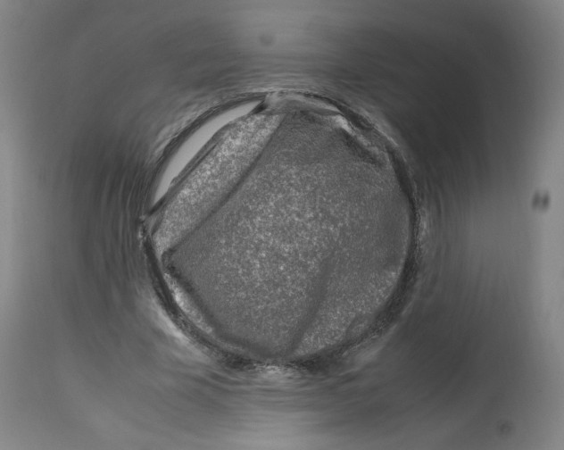 X0000112750585200909171228