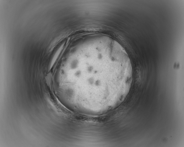 X0000112750586200909171228