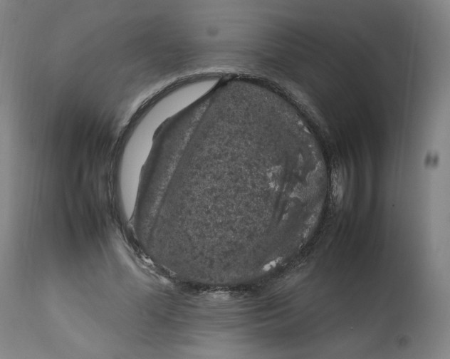 X0000112750588200909171228