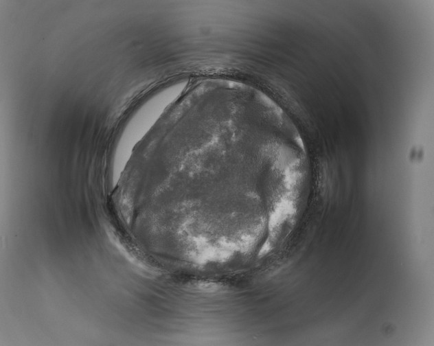 X0000112750590200909171228