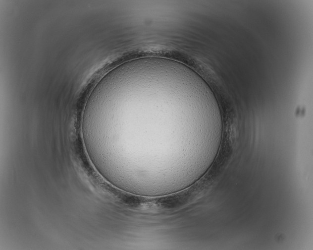 X0000112750591200909171228