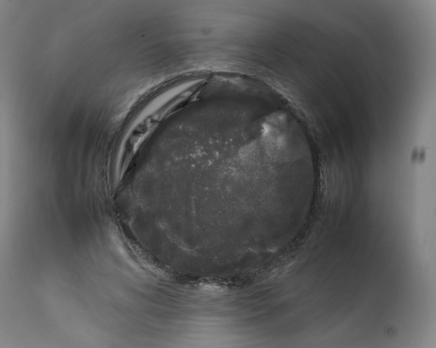 X0000112750592200909171228