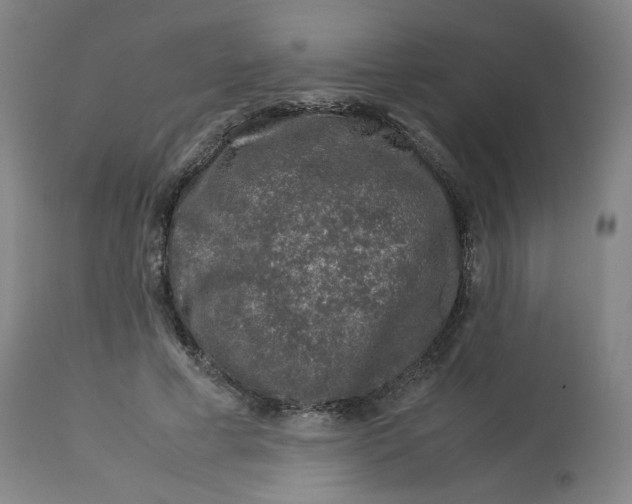 X0000112750593200909171228