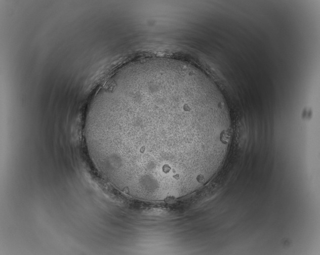 X0000112750594200909171228