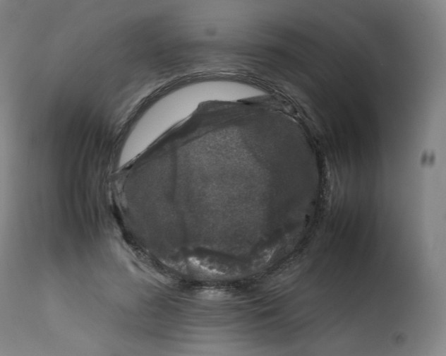 X0000112750596200909171228