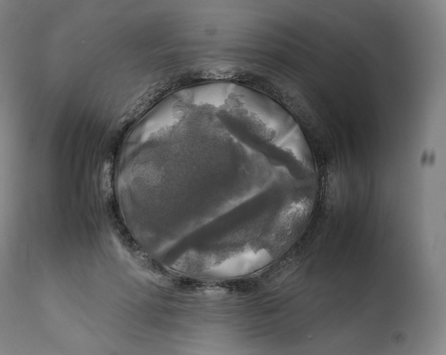 X0000112750598200909171228