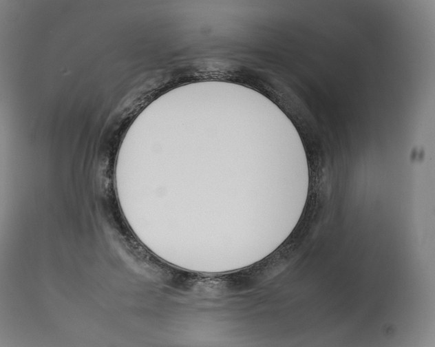 X0000112750599200909171228