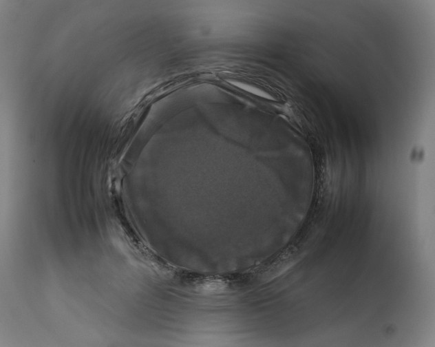 X0000112750600200909171228