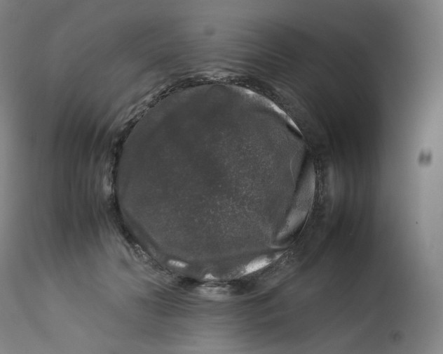 X0000112750606200909171228