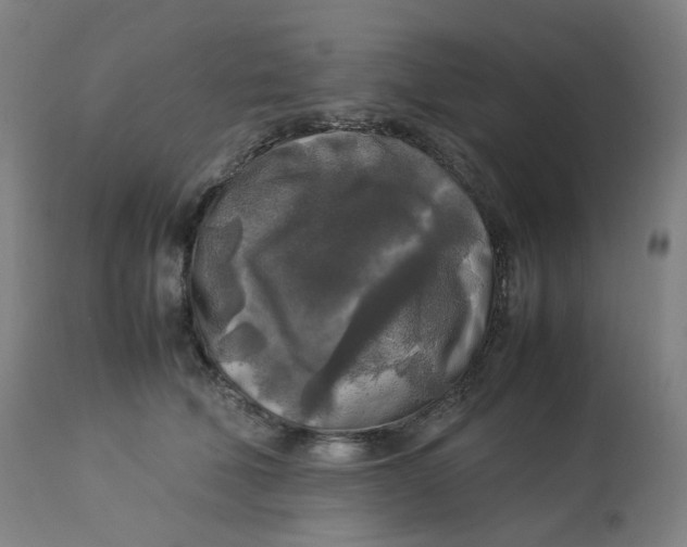 X0000112750610200909171228