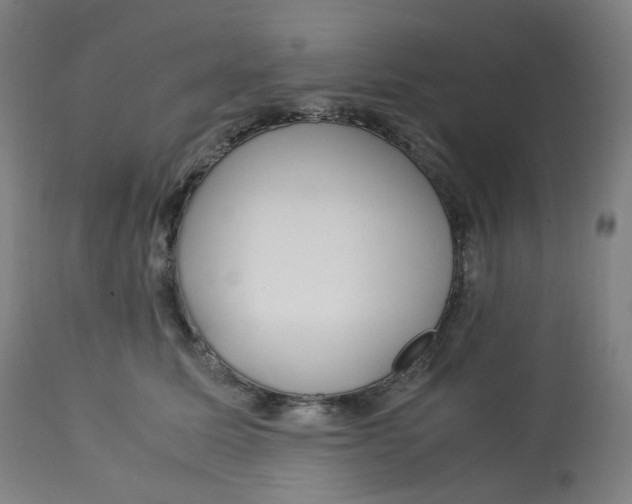 X0000112750611200909171227