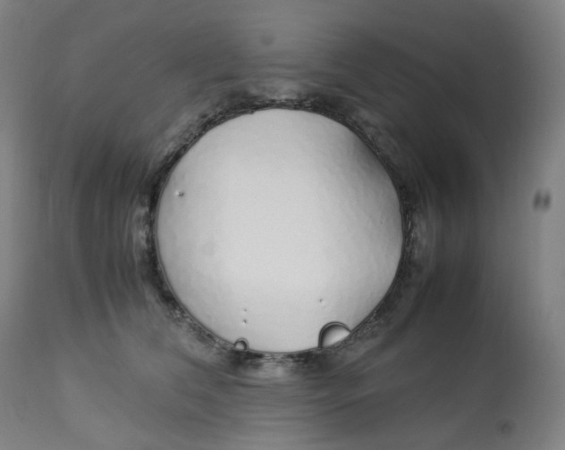 X0000112750612200909171227