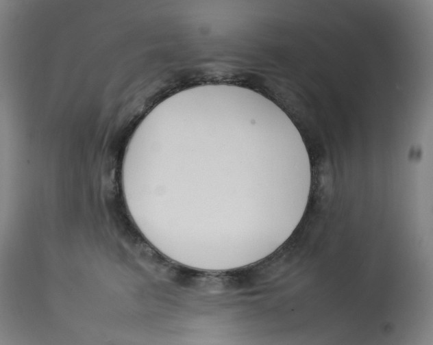 X0000112750615200909171227