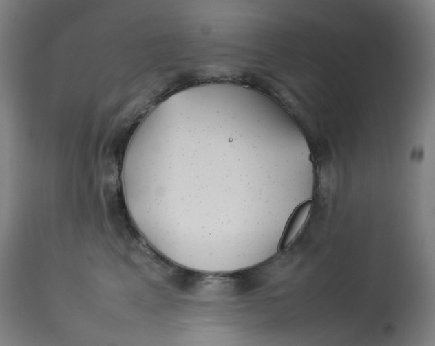 X0000112750617200909171227