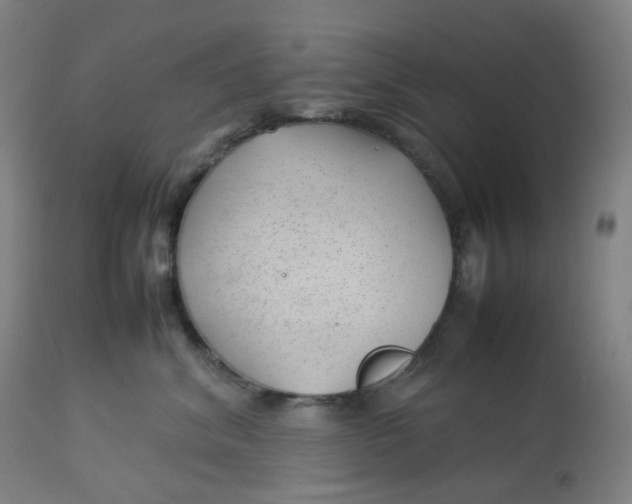 X0000112750620200909171227