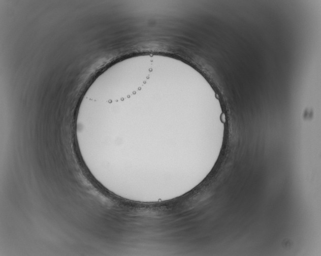 X0000112750625200909171227