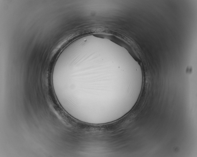 X0000112750626200909171227