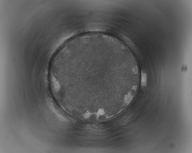 X0000112750627200909171227