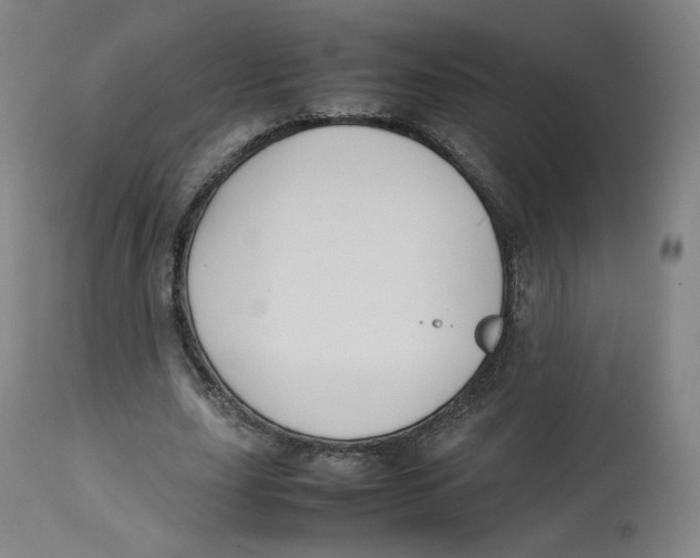 X0000112750631200909171227