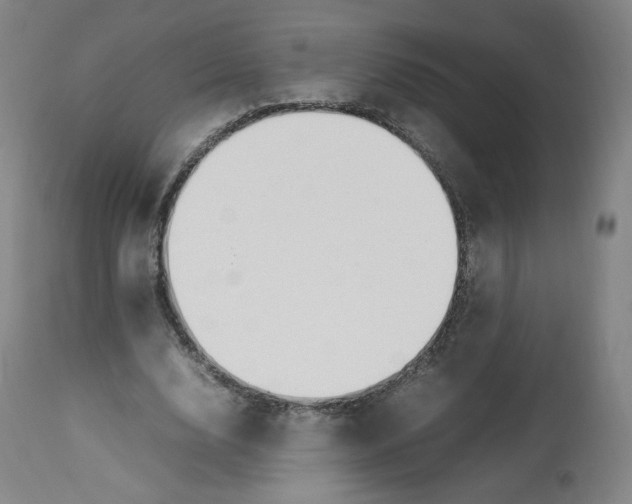 X0000112750632200909171227