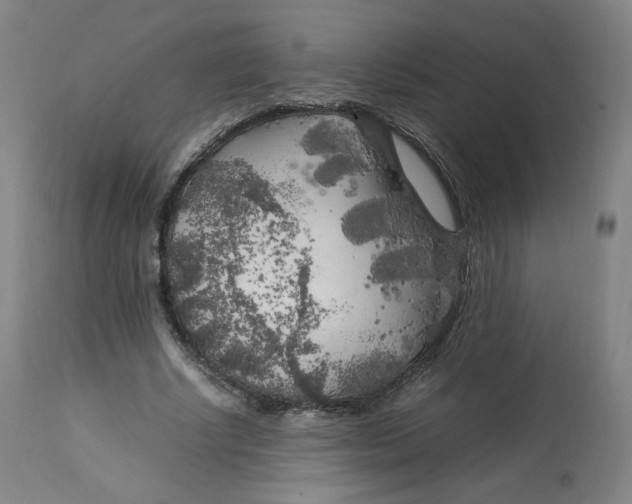 X0000112750634200909171227