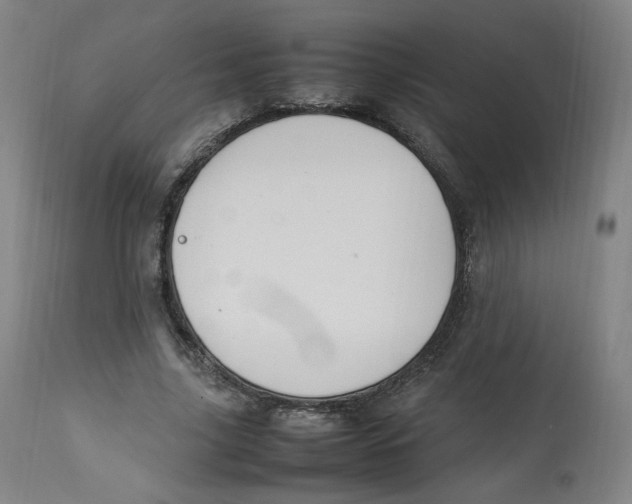 X0000112750635200909171227