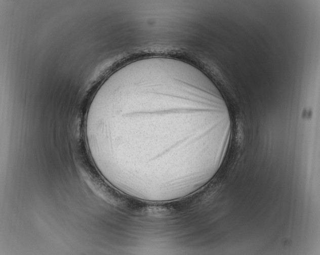 X0000112750636200909171227