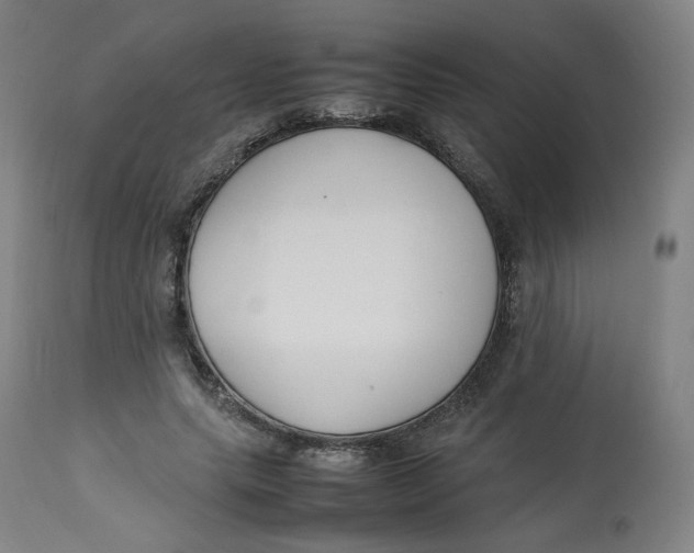 X0000112750639200909171227