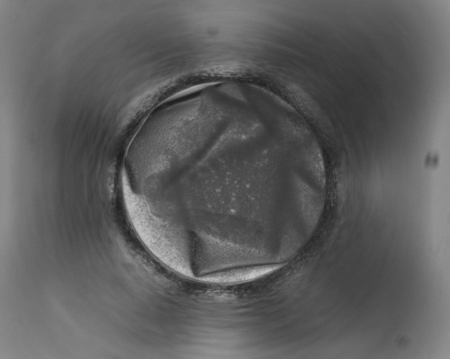 X0000112750640200909171227